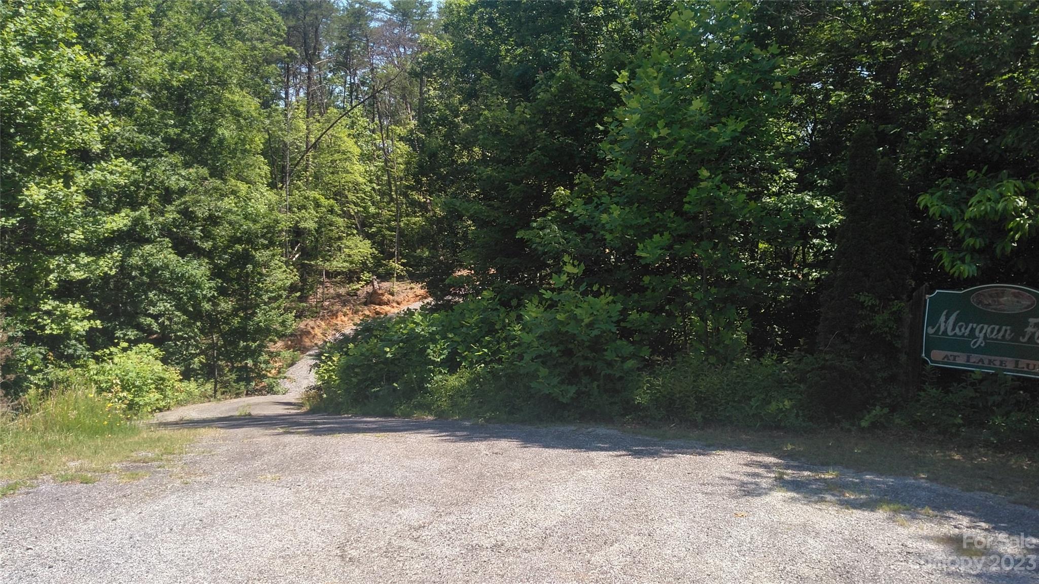 Lot 6 Falls Dr Mill Spring Mill Spring, NC 28756 - Photo 19 of 21 a view of outdoor space and yard