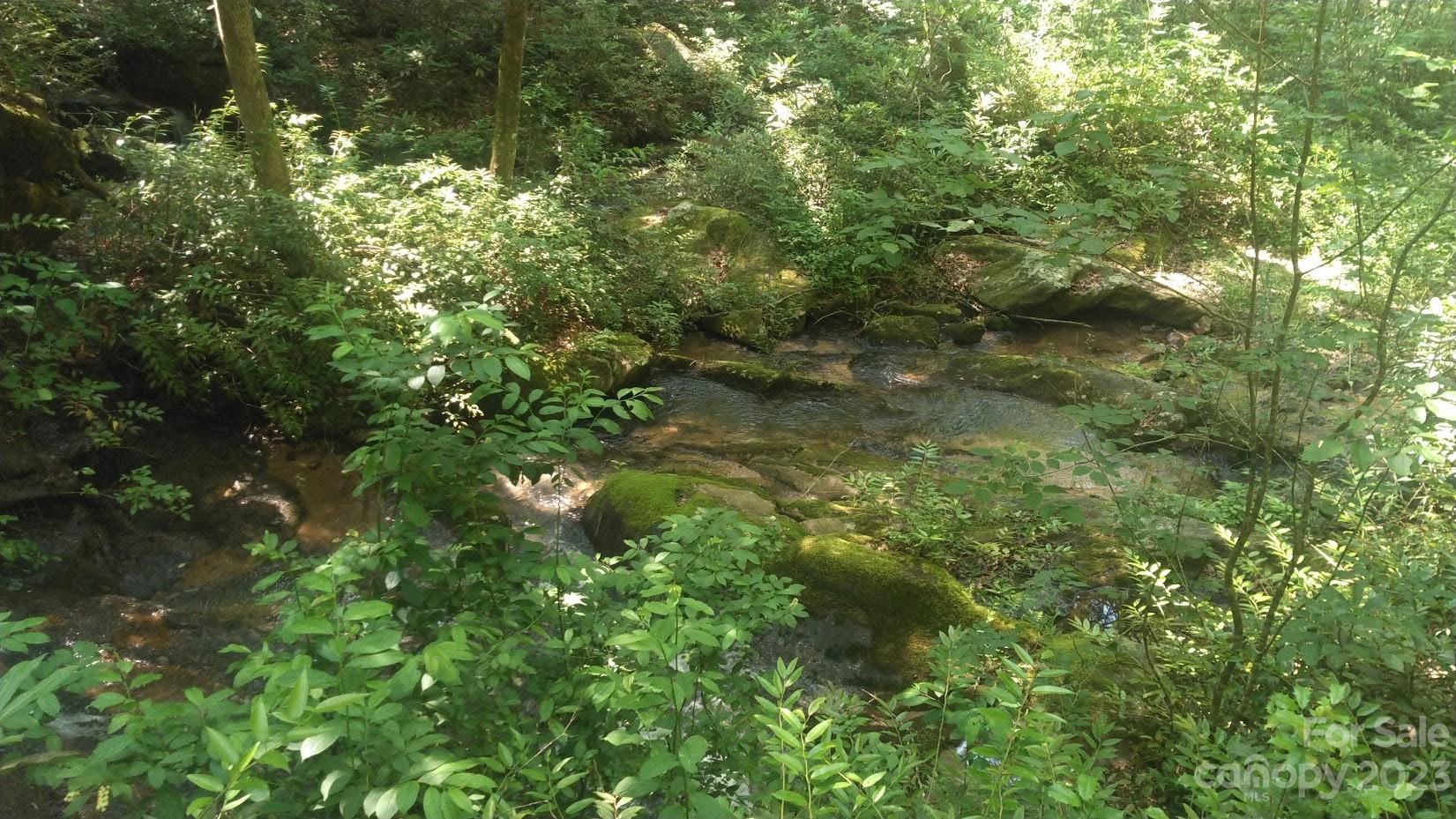 Lot 6 Falls Dr Mill Spring Mill Spring, NC 28756 - Photo 2 of 21 a view of a forest