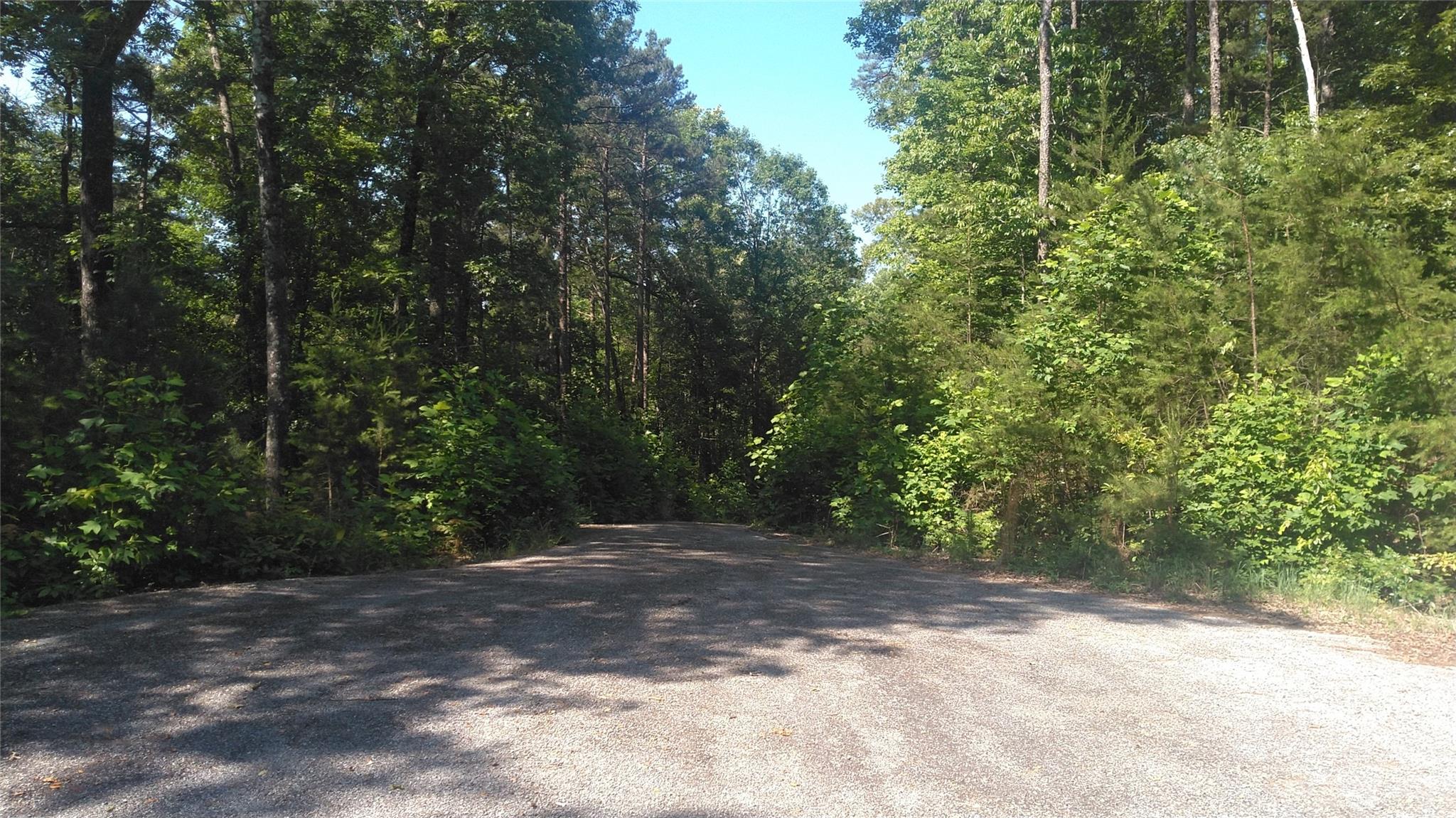 Lot 6 Falls Dr Mill Spring Mill Spring, NC 28756 - Photo 3 of 21 a view of outdoor space and trees