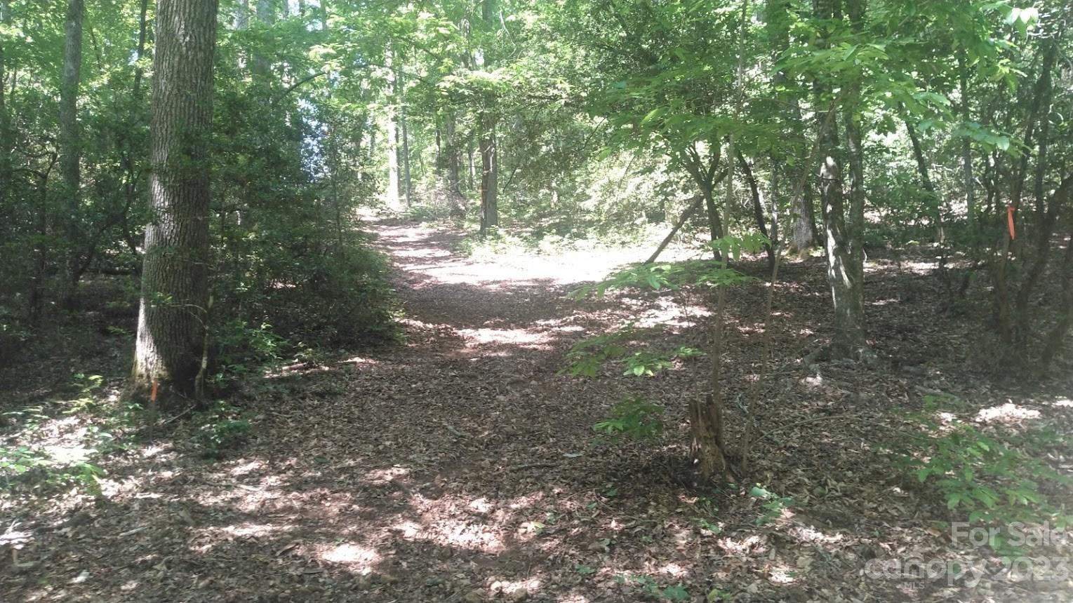 Lot 6 Falls Dr Mill Spring Mill Spring, NC 28756 - Photo 4 of 21 a view of forest