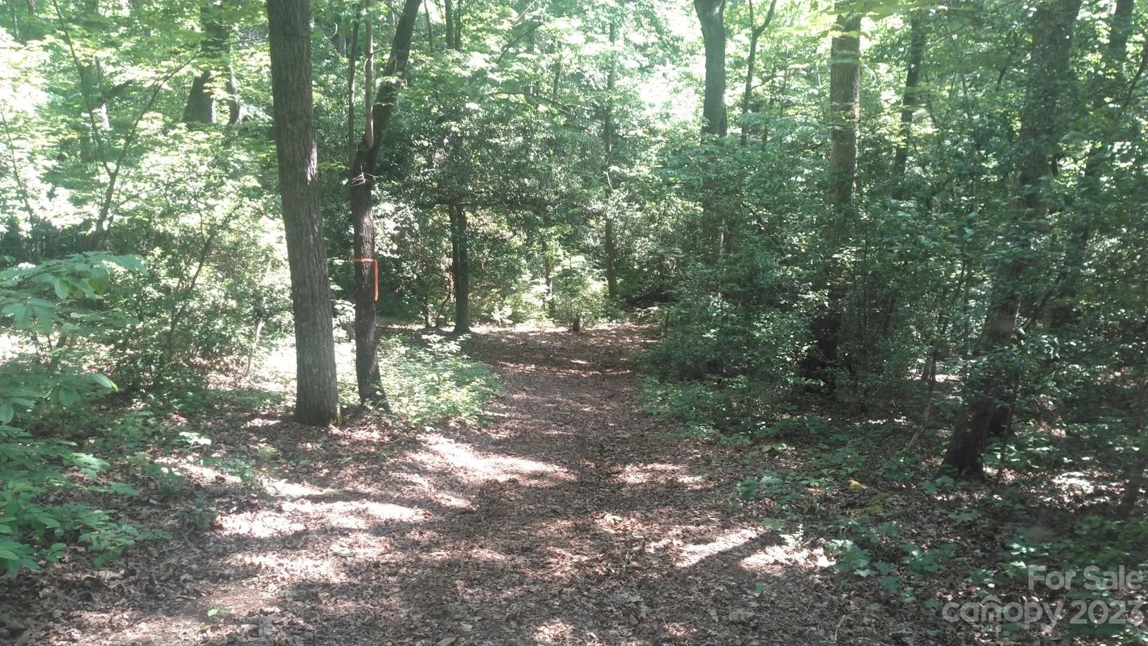 Lot 6 Falls Dr Mill Spring Mill Spring, NC 28756 - Photo 7 of 21 a view of a forest with trees