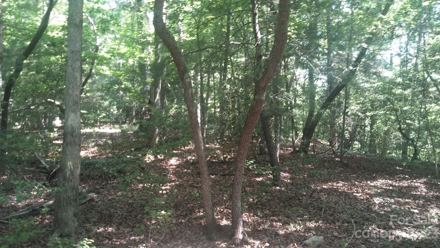 Lot 6 Falls Dr Mill Spring Mill Spring, NC 28756 - Photo 10 of 21 a view of forest