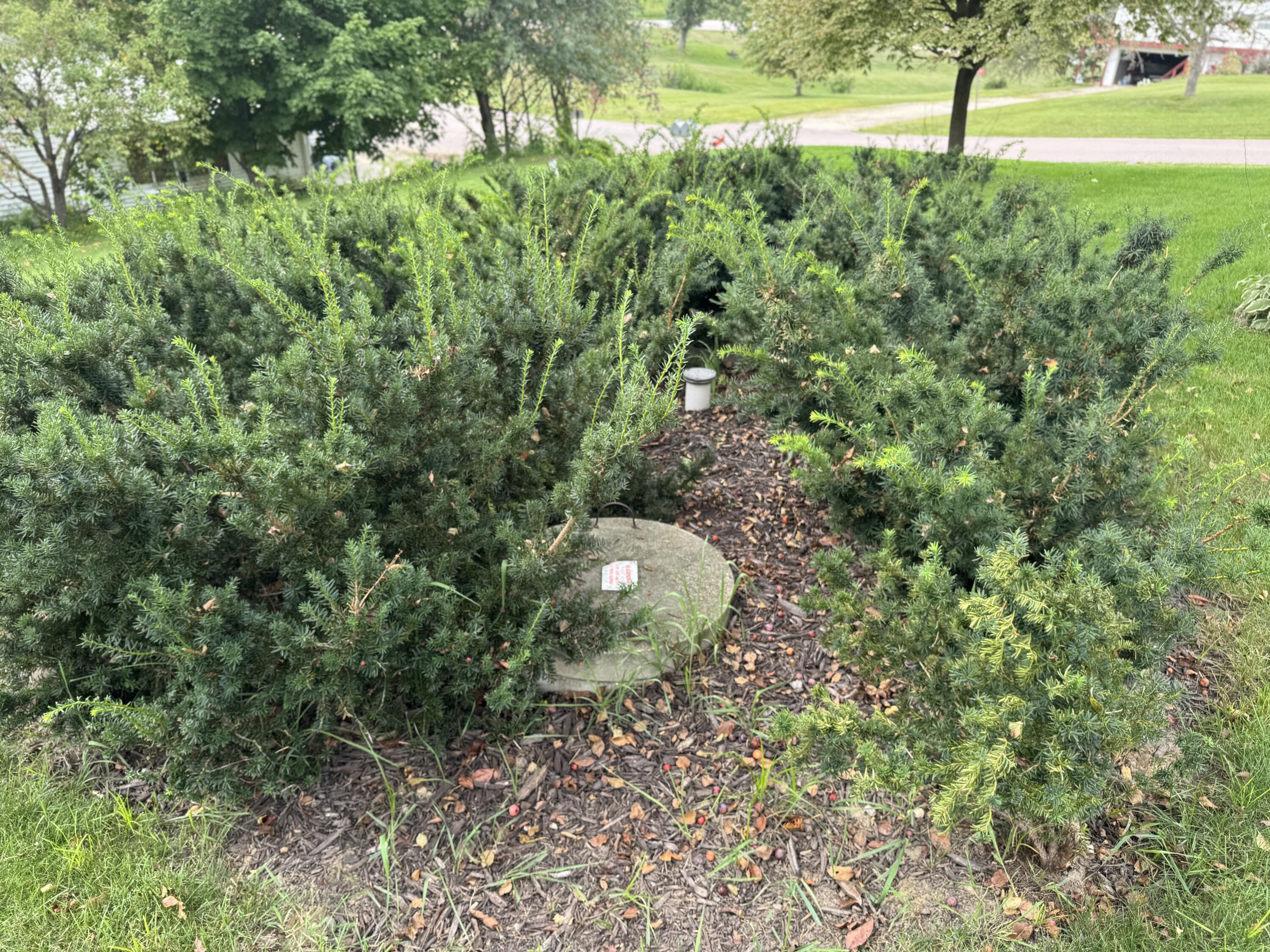 28067 Nash Road Portland, WI 54619 - Photo 28 of 31 Private Septic