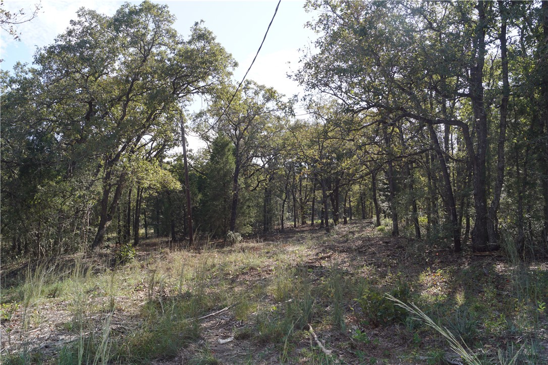 Tbd Lot 4 Tbd Lane Elgin, TX 78621 - Photo 1 of 1