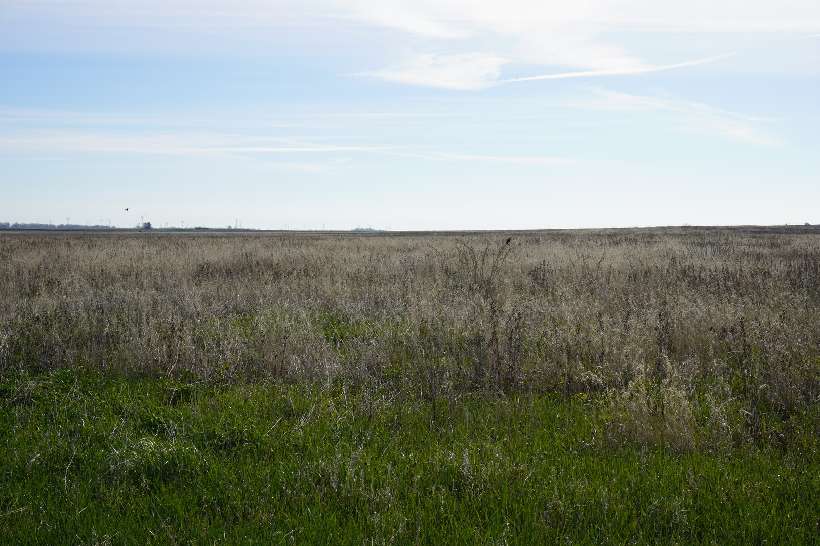 102 Acres /- East 1900 North Road Cullom, IL 60929 - Photo 7 of 16