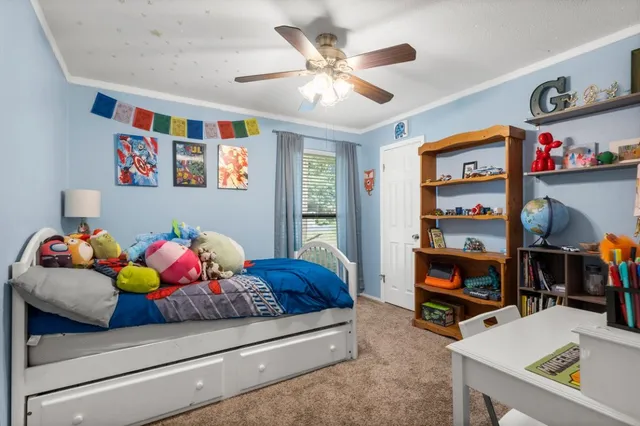 a view of a house with yard and a tree