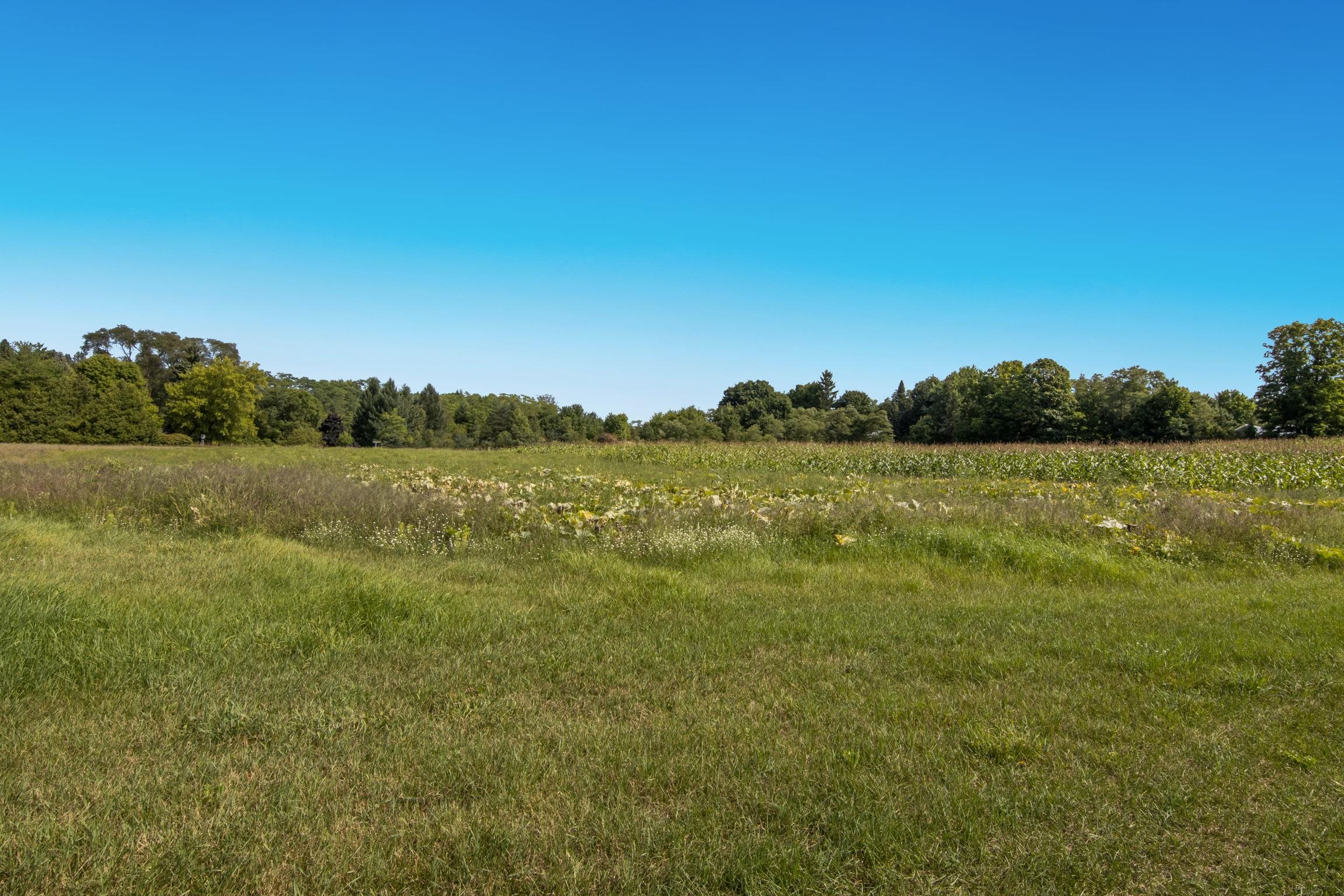9224 East Duck Lake Road, Unit PARCEL A Suttons Bay, MI 49682 - Photo 42 of 58