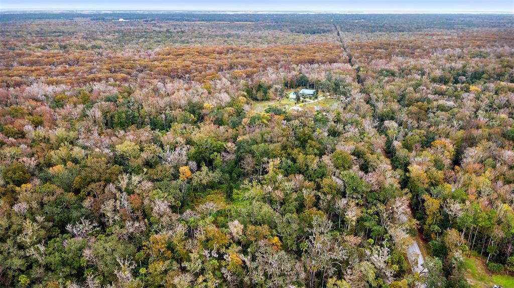 1100 Maytown Road Oak Hill, FL 32759 - Photo 2 of 7 a view of a yard