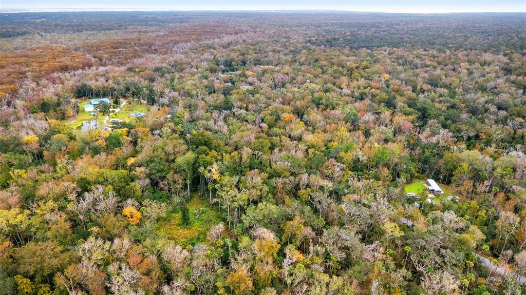 1100 Maytown Road Oak Hill, FL 32759 - Photo 6 of 7