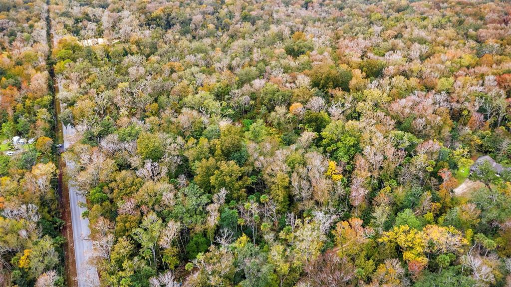 1100 Maytown Road Oak Hill, FL 32759 - Photo 7 of 7 a view of a yard