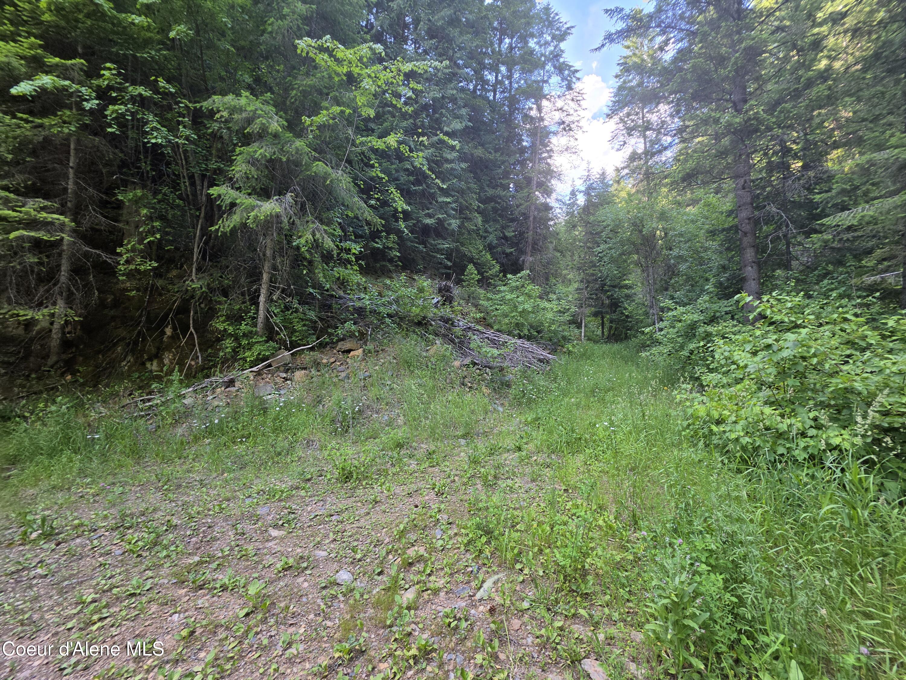 480 Dunn Peak Road Avery, ID 83802 - Photo 17 of 66 Avery Creek