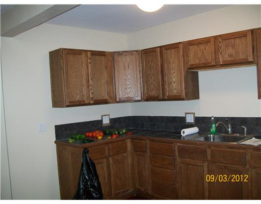 6808 County Line Road New Carlisle, IN 46552 - Photo 7 of 24 Gallery Image 7