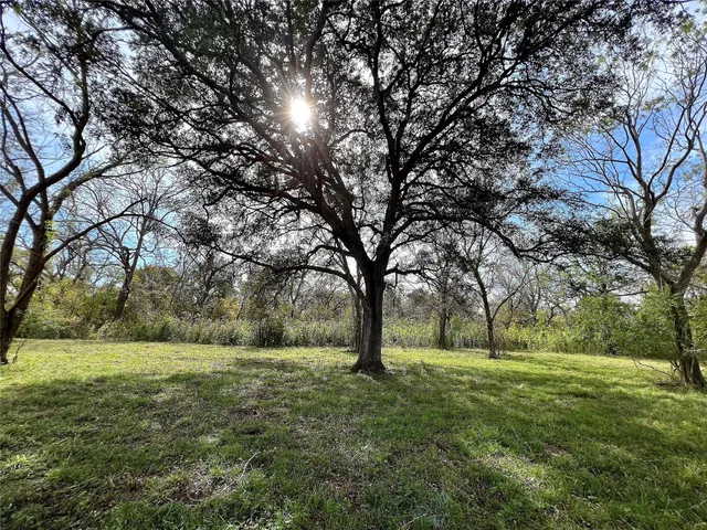 a view of outdoor space with trees all around