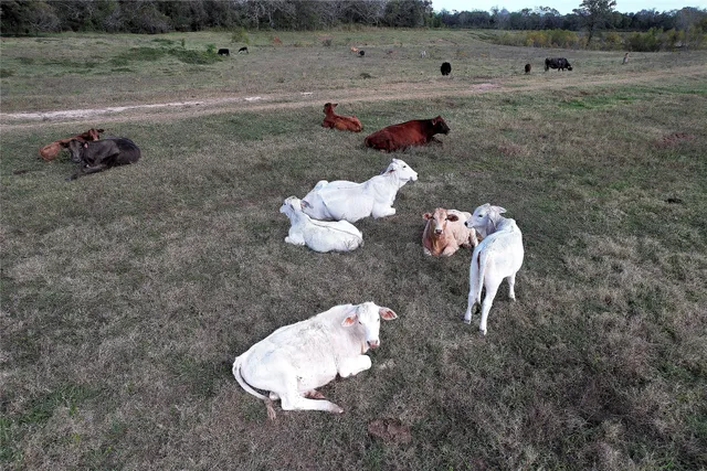 a view of a outdoor space