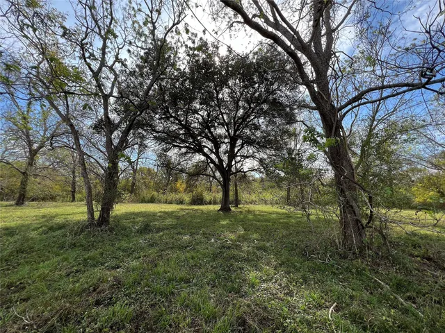 a view of outdoor space with trees all around