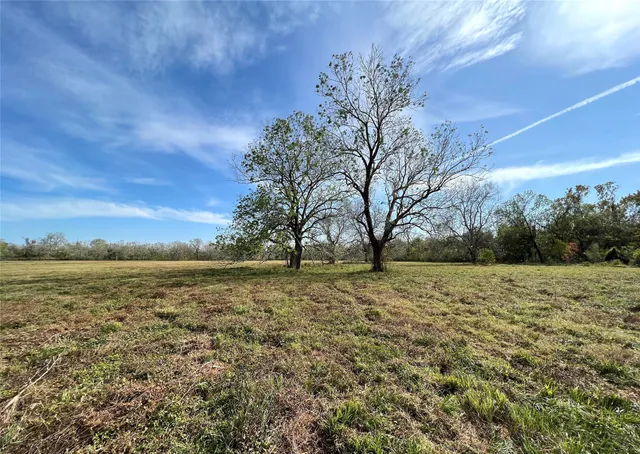 a view of big yard with an trees
