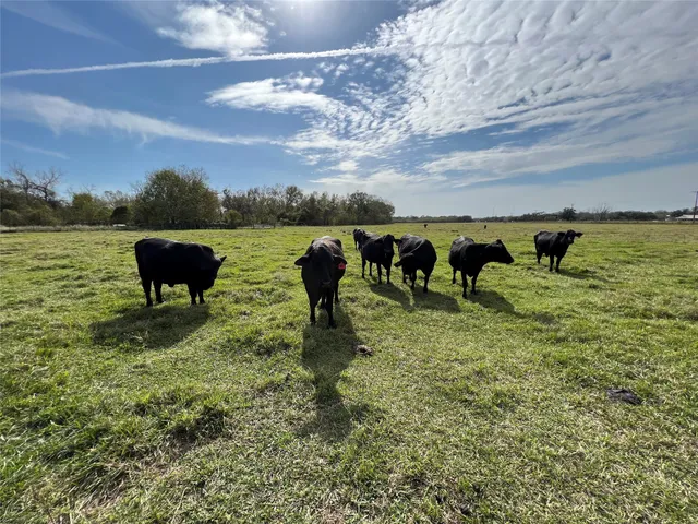 a view of a lake with a yard