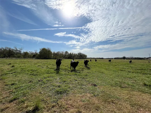 a view of a field with an trees