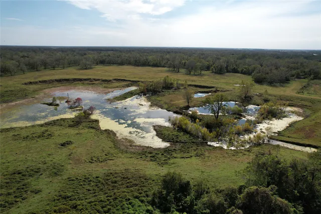 a view of a lake with lots of trees