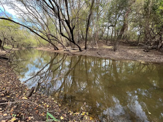 a view of swimming pool with a yard
