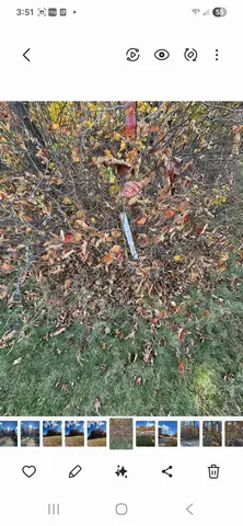 $54,400 | Xxx1 Xxx1 Gregory, Hillman, MN 56338