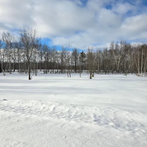 $54,400 | Xxx1 Xxx1 Gregory, Hillman, MN 56338