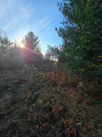 $54,400 | Xxx1 Xxx1 Gregory, Hillman, MN 56338