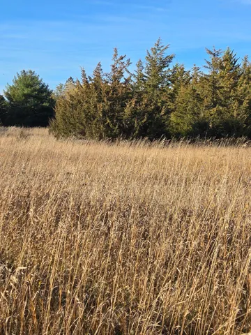 $54,400 | Xxx1 Xxx1 Gregory, Hillman, MN 56338