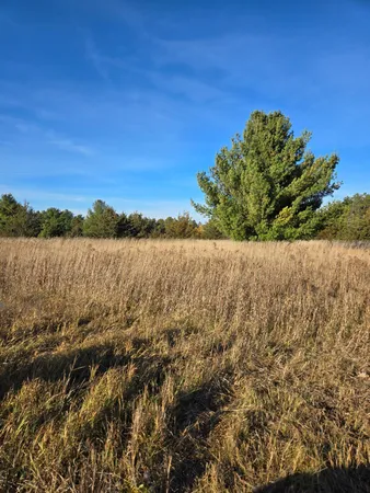 $54,400 | Xxx1 Xxx1 Gregory, Hillman, MN 56338