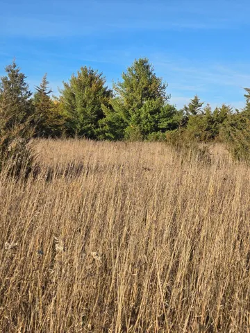 $54,400 | Xxx1 Xxx1 Gregory, Hillman, MN 56338