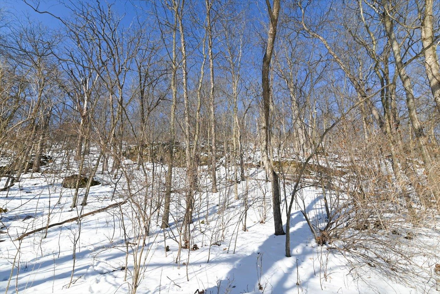 1890 Lewis Street Cross Plains, WI 53528 - Photo 70 of 78