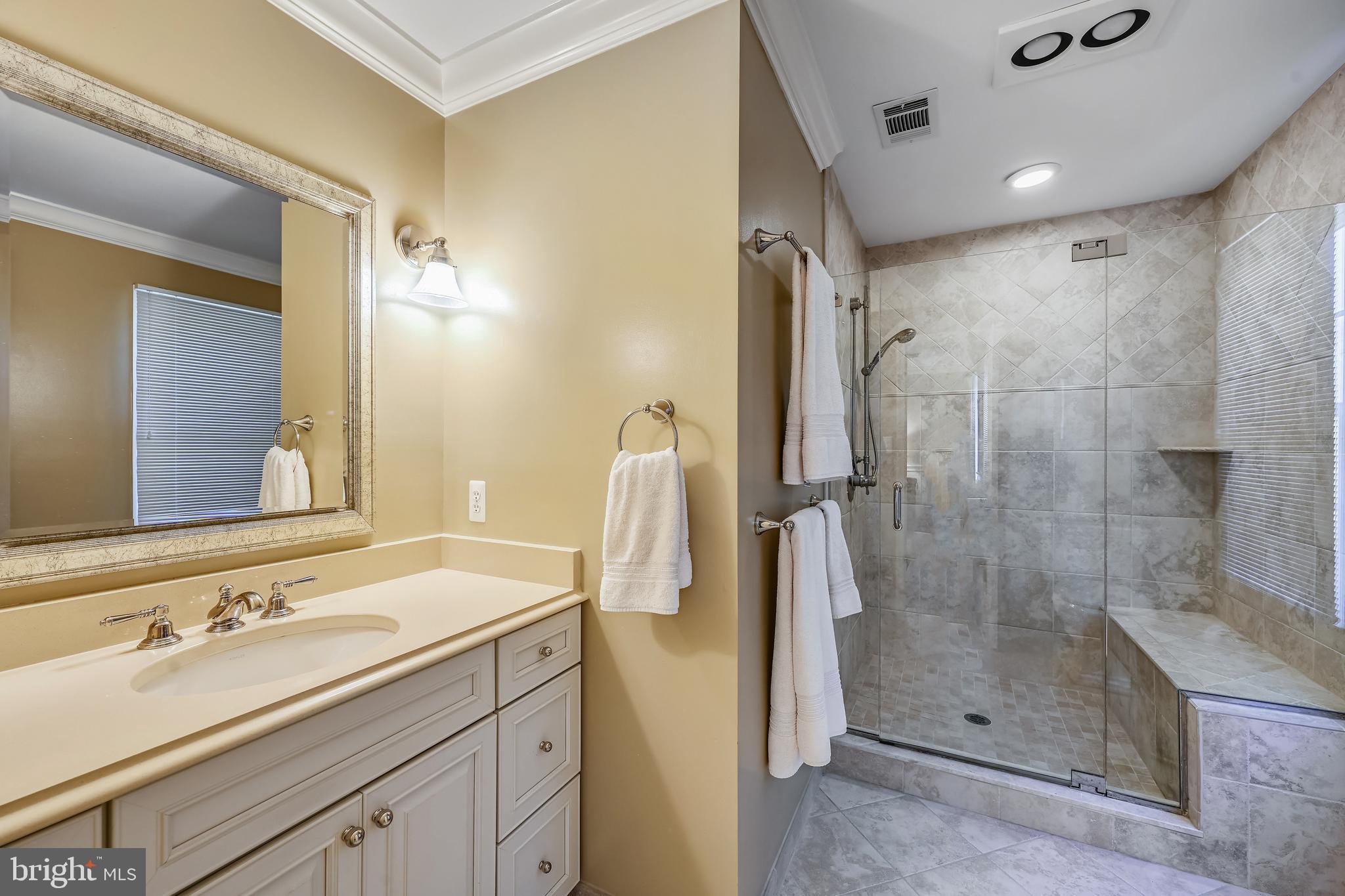 10508 Patuxent Ridge Way Laurel, MD 20723 - Photo 21 of 31 Large shower and heat lamps