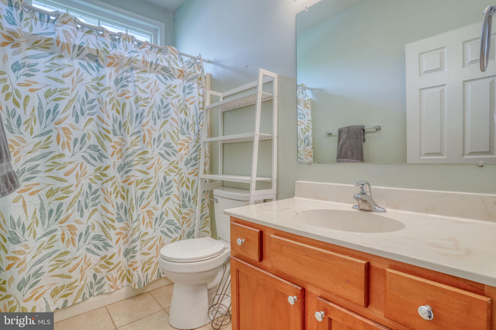 266 Stone Ridge Drive Dover, DE 19901 - Photo 35 of 41 Hall Bathroom