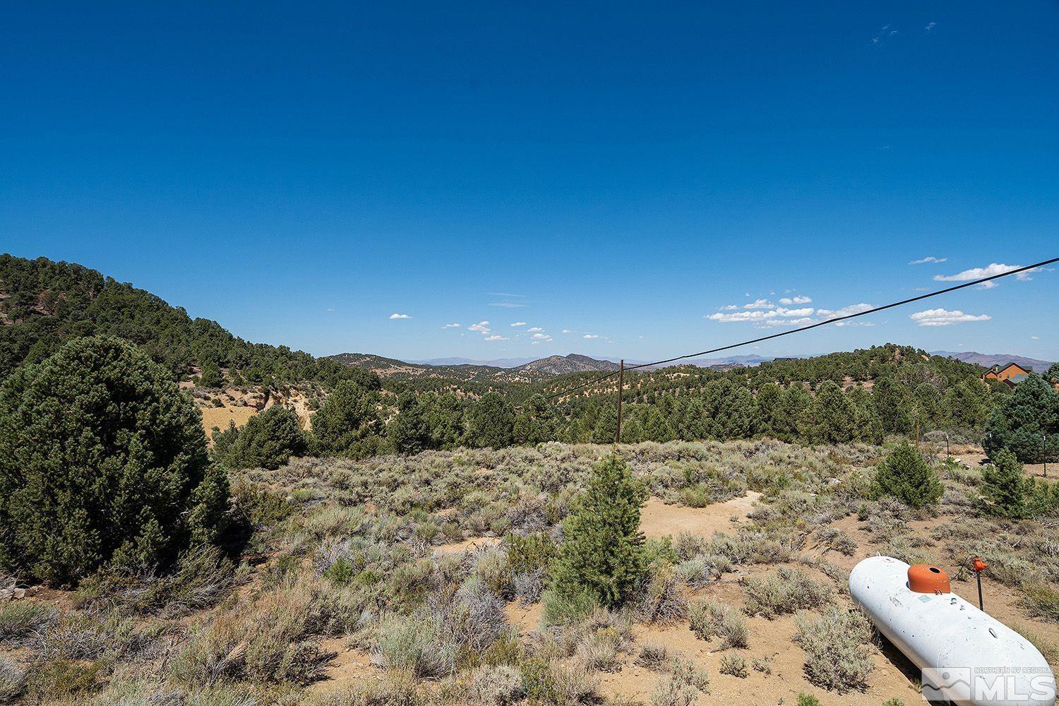 21400 Graves Road Reno, NV 89521 - Photo 17 of 21 a view of a yard