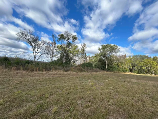 $149,900 | Tbd Tbd Gum Swamp Road, Sellers, SC 29592