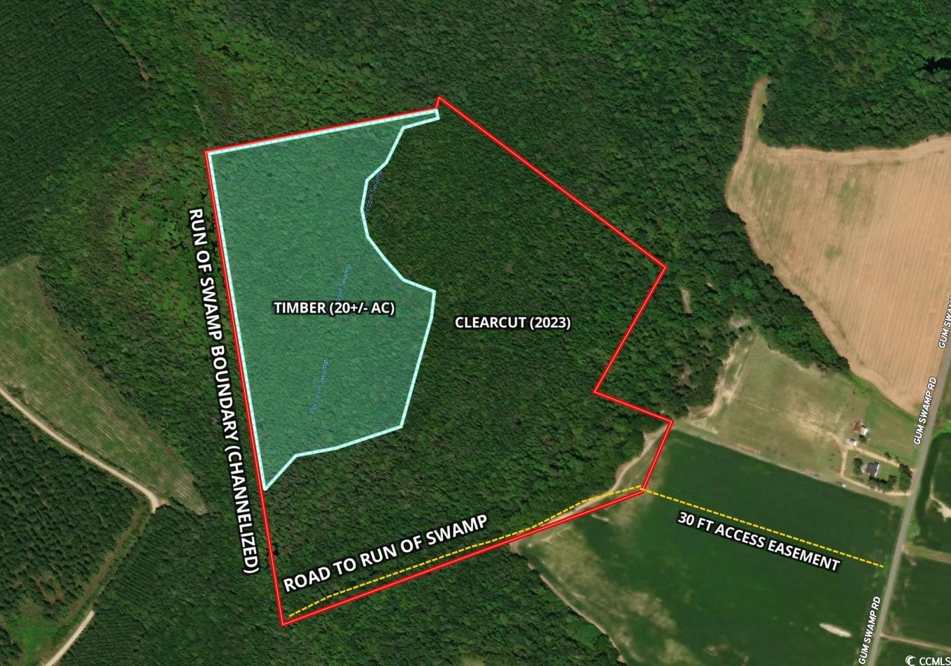 Tbd Tbd Gum Swamp Road Sellers, SC 29592 - Photo 12 of 21