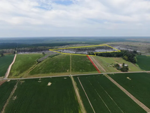 $149,900 | Tbd Tbd Gum Swamp Road, Sellers, SC 29592