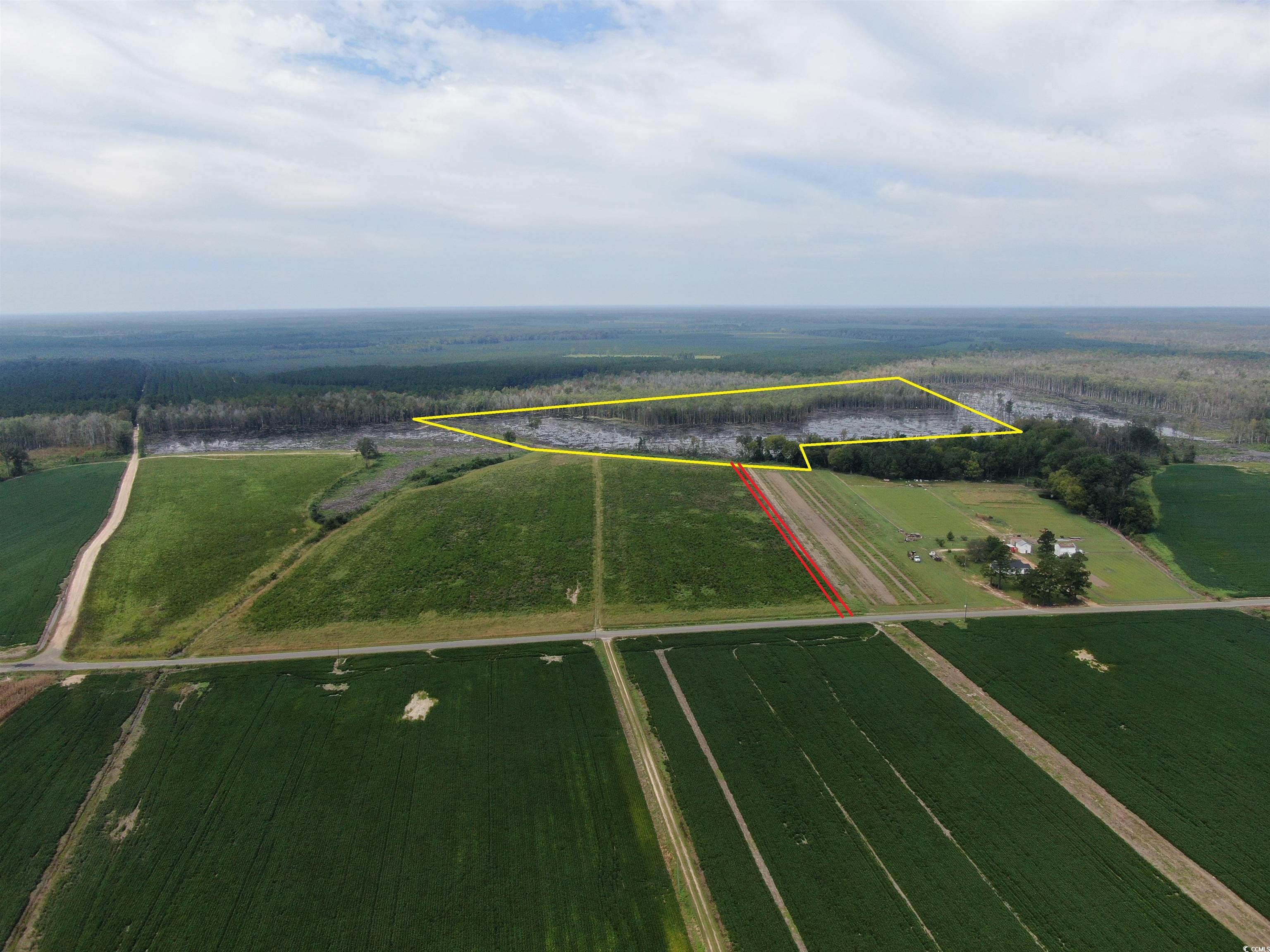 Tbd Tbd Gum Swamp Road Sellers, SC 29592 - Photo 13 of 21