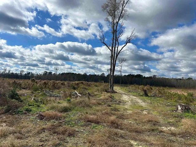 $149,900 | Tbd Tbd Gum Swamp Road, Sellers, SC 29592