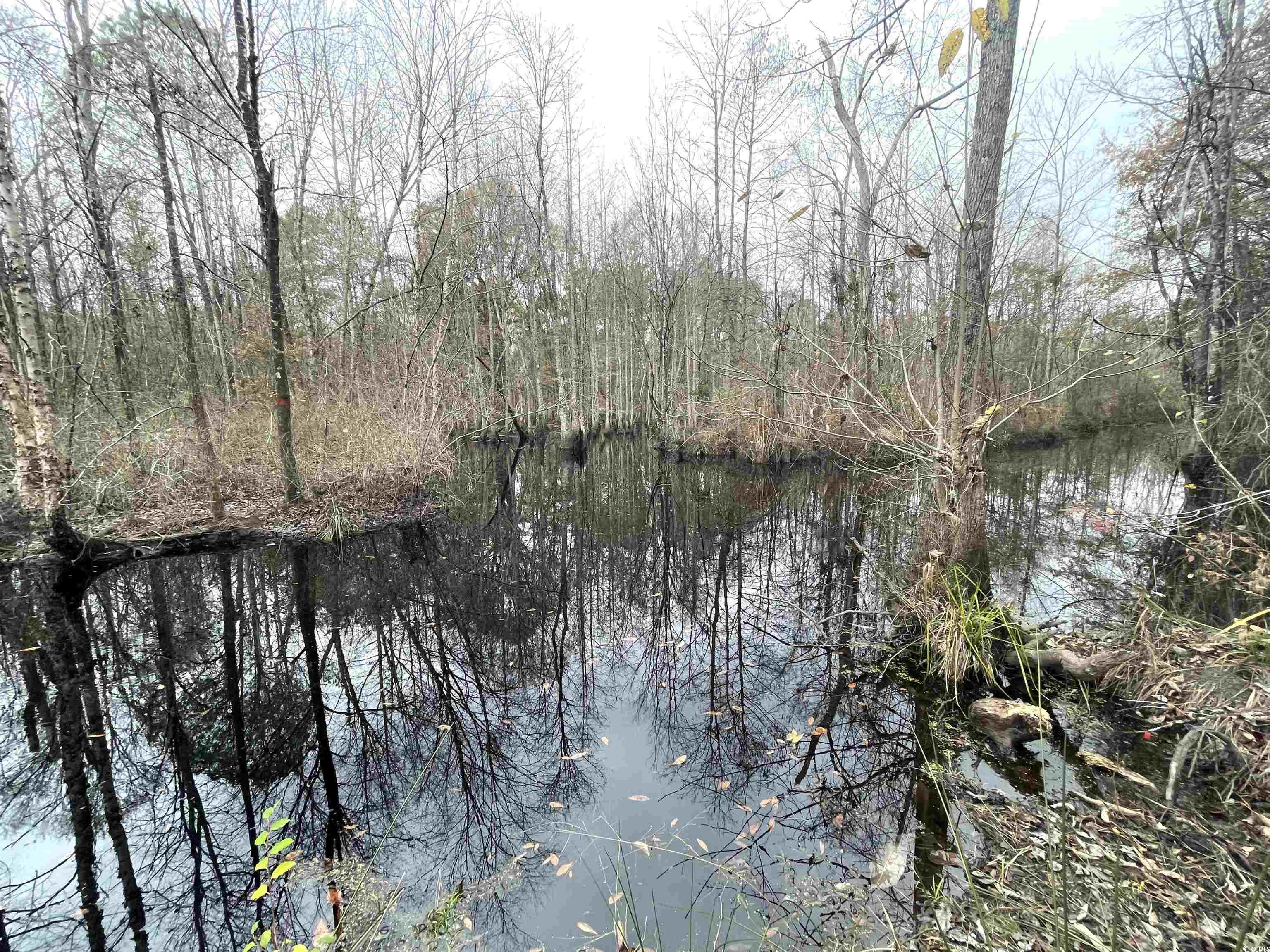 Tbd Tbd Gum Swamp Road Sellers, SC 29592 - Photo 18 of 21