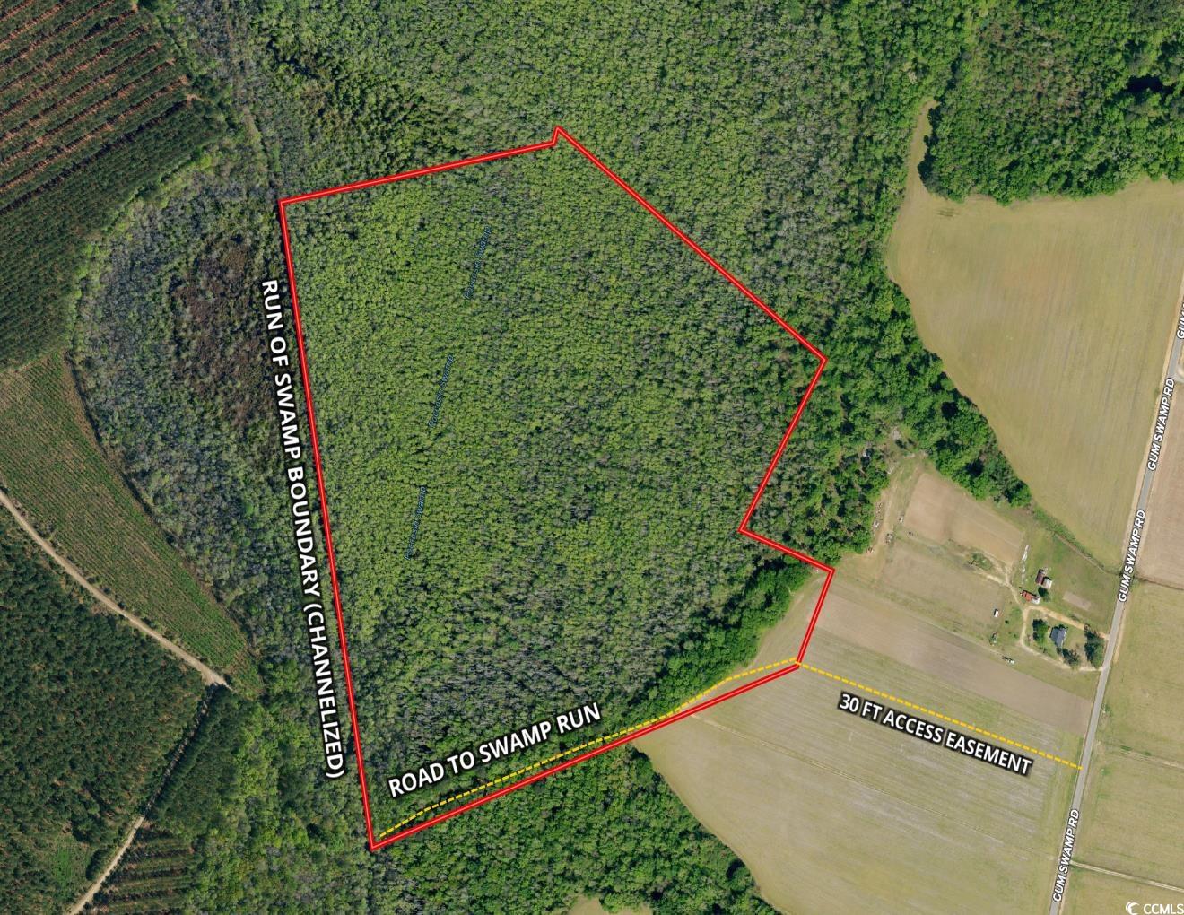 Tbd Tbd Gum Swamp Road Sellers, SC 29592 - Photo 2 of 21