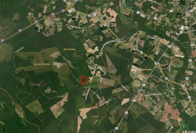 $149,900 | Tbd Tbd Gum Swamp Road, Sellers, SC 29592