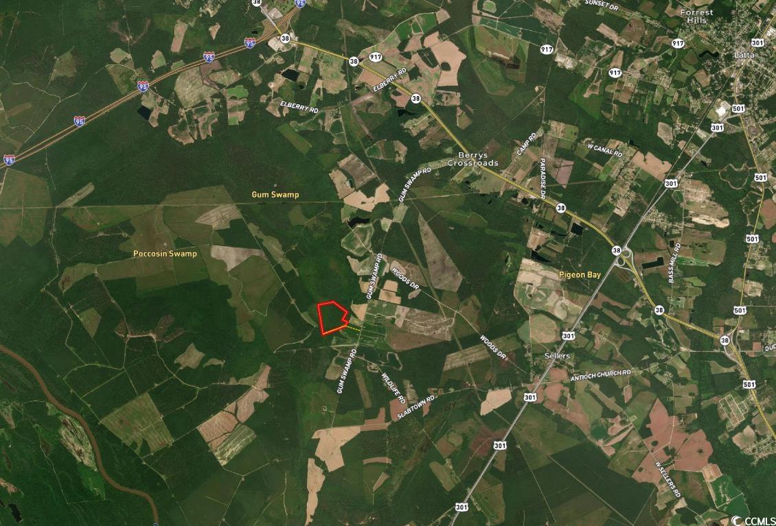 Tbd Tbd Gum Swamp Road Sellers, SC 29592 - Photo 3 of 21