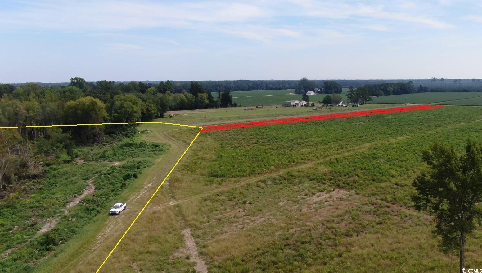 Tbd Tbd Gum Swamp Road Sellers, SC 29592 - Photo 5 of 21