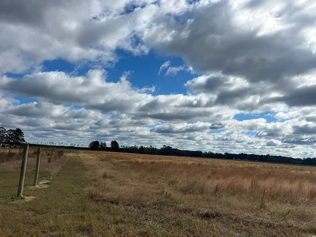 $149,900 | Tbd Tbd Gum Swamp Road, Sellers, SC 29592