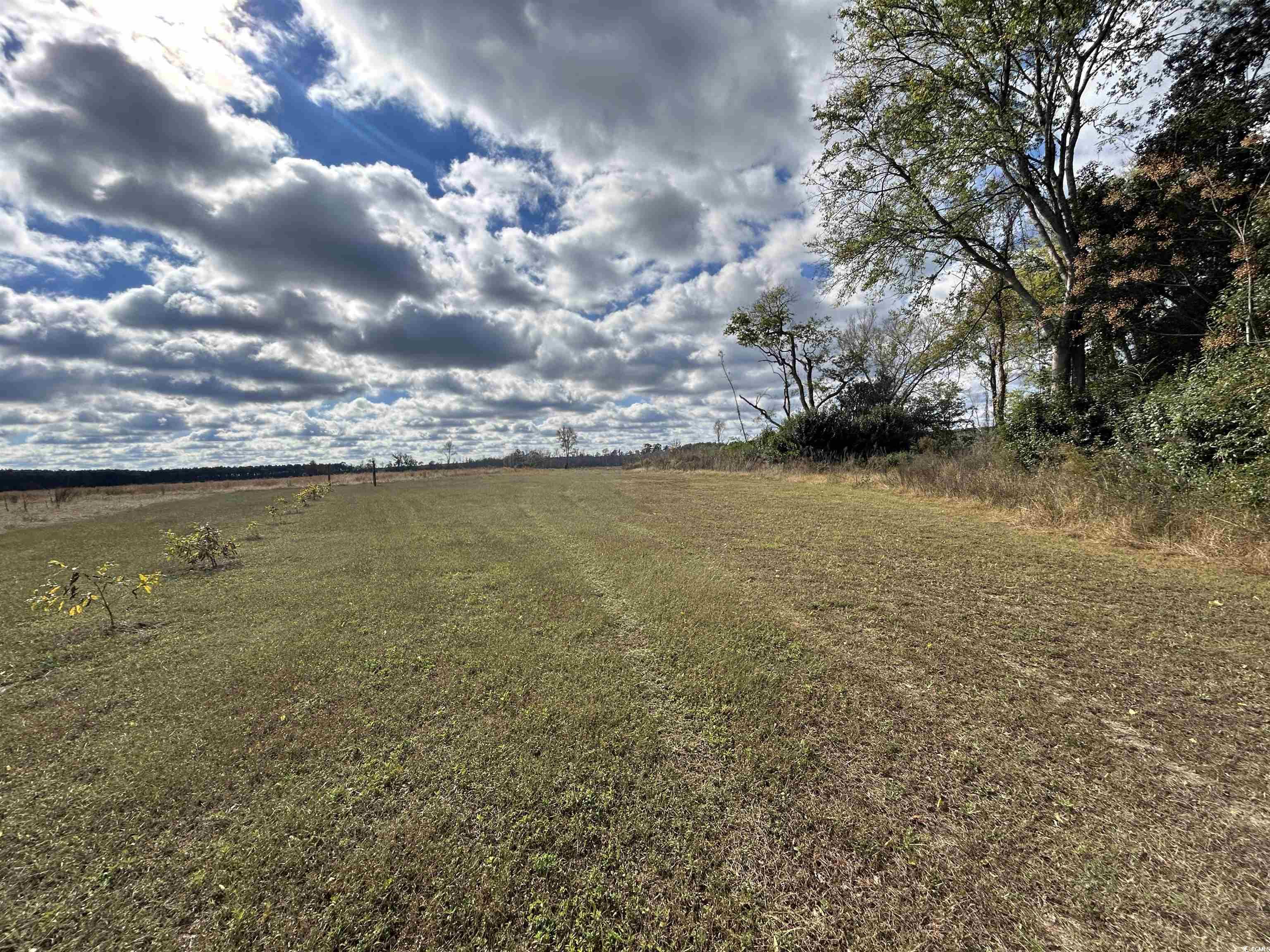 Tbd Tbd Gum Swamp Road Sellers, SC 29592 - Photo 10 of 21