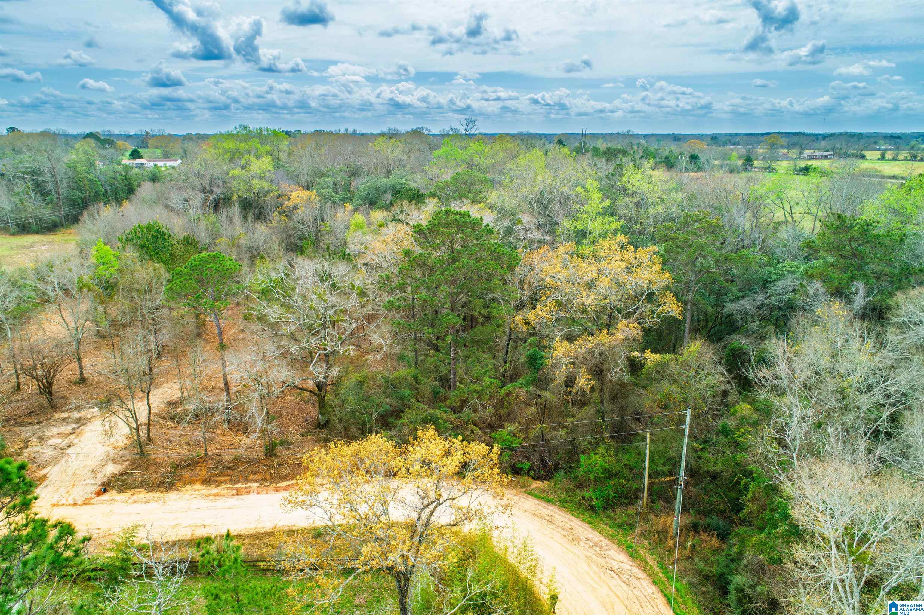 27180 Deer Run Road Opp, AL 36467 - Photo 29 of 60
