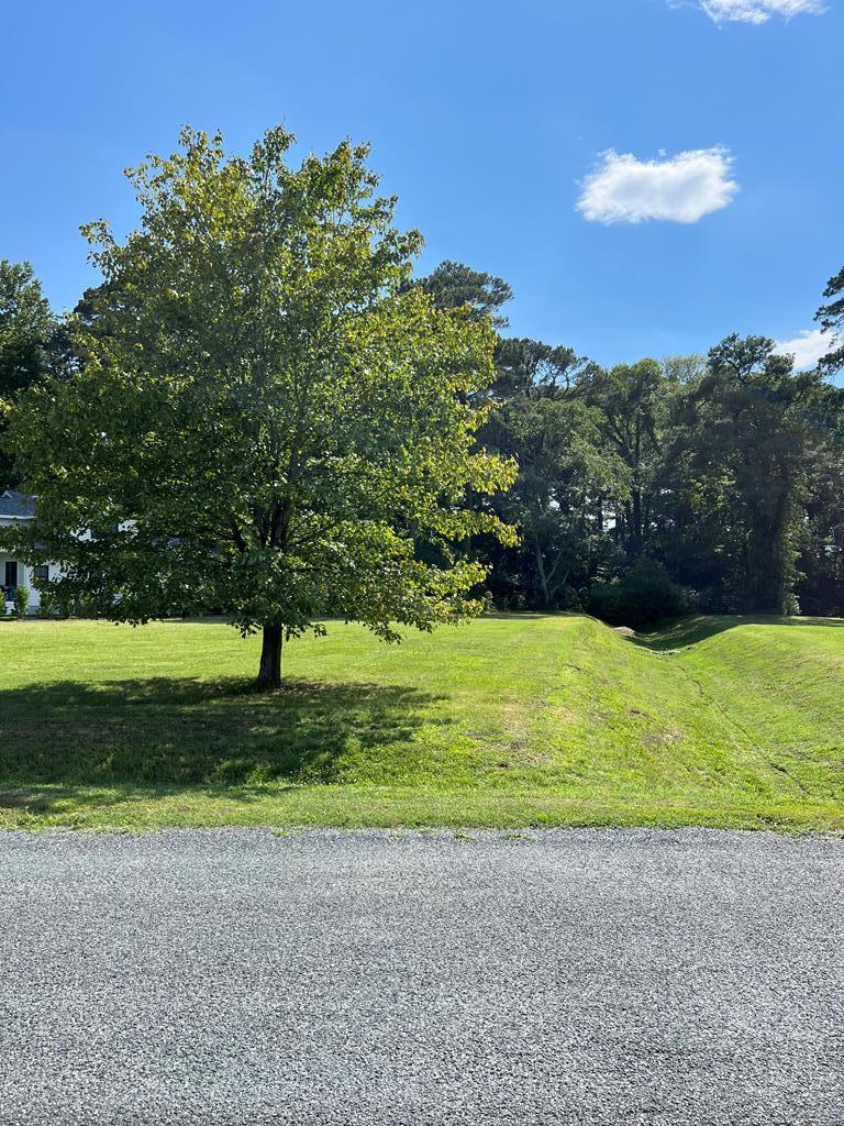 Lot 10 Plum Tree Road, Unit 10 Cape Charles, VA 23310 - Photo 1 of 8