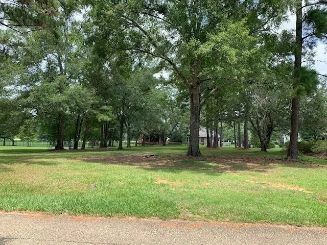 $120,000 | Lot 110 Chinawood Drive, Abita Springs, LA 70420