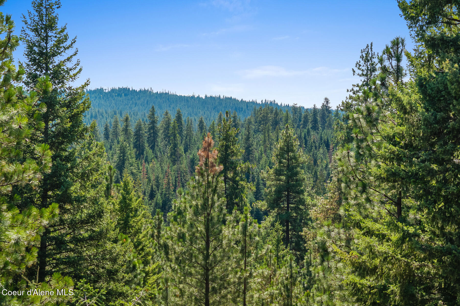 Lot 4 Fsr 439 Harrison, ID 83833 - Photo 6 of 16 Aerial_GothamBayLot-4